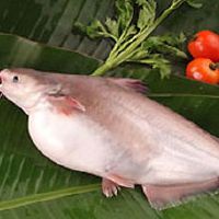 Avril 21 - Tout poisson!
