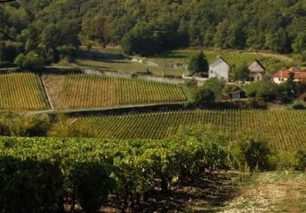 Vins de Bourgogne - Rully