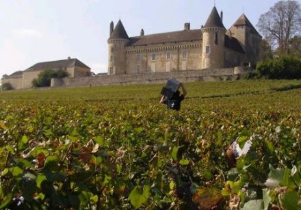 Vins de Bourgogne - Rully 1