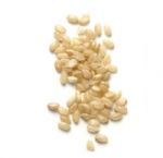 Les 3 types de grains de riz  3