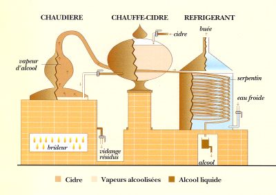 Secrets de Famille ou l'art d'élaborer un grand Calvados  1