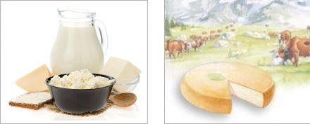 Fromages, oeufs, produits laitiers