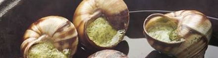 Escargots de Bourgogne, version traditionnelle
