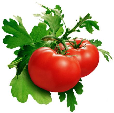 Comment peler une tomate? (technique en images)