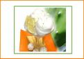 Sorbet au citron vert et Tequila