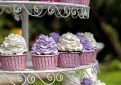Cupcakes à la crème au beurre