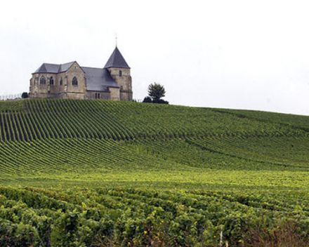 Coteaux, maisons et caves de Champagne inscrits au Patrimoine mondial de l’Humanité