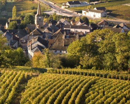 Les Climats du vignoble de Bourgogne inscrits au patrimoine mondial de l'humanité