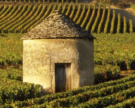 Les Climats du vignoble de Bourgogne inscrits au patrimoine mondial de l'humanité 2