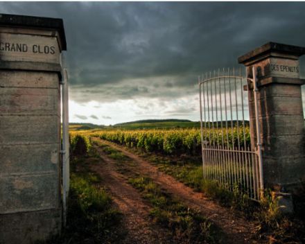 Les Climats du vignoble de Bourgogne inscrits au patrimoine mondial de l'humanité 3
